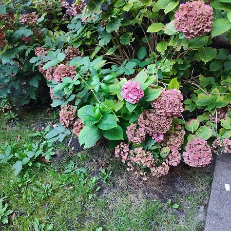 Monteurwohnung Business Grenze Duesseldorf 4 Personen