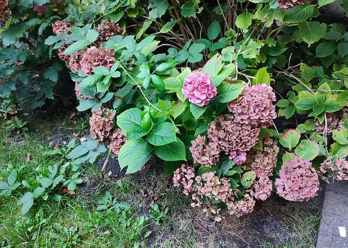 Monteurwohnung Business Grenze Duesseldorf 4 Personen